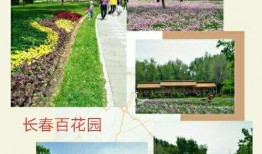 长春百花园爆料最新消息