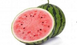 吃瓜在线免费缅甸,吃瓜在线免费缅甸，带你领略异国风情